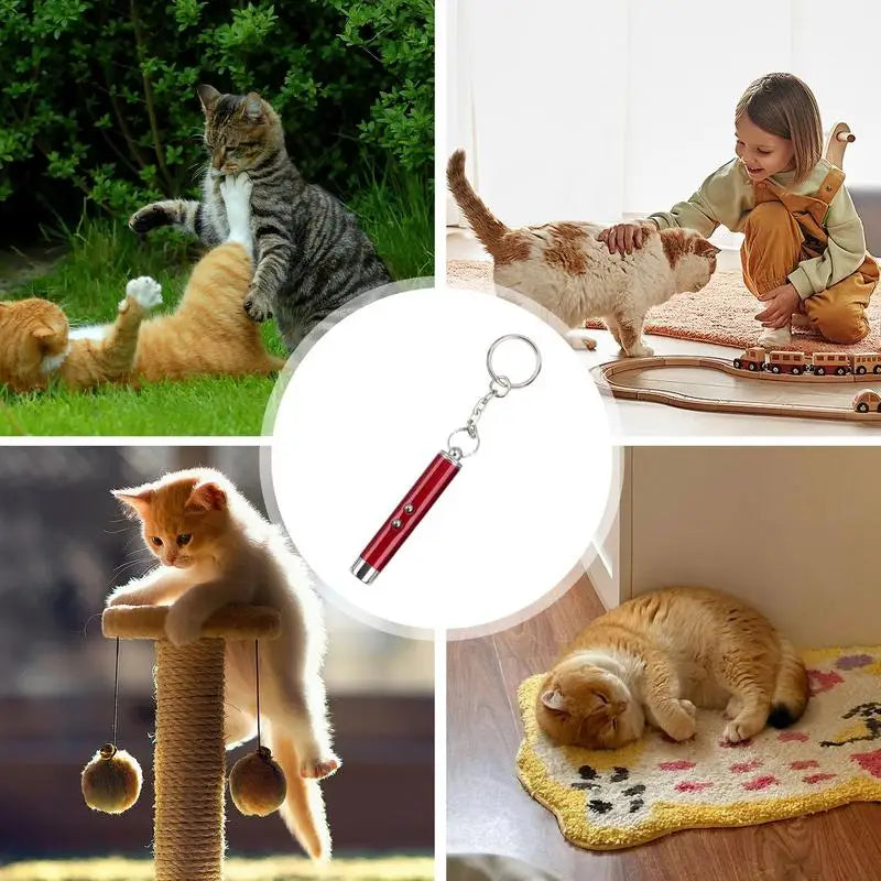 pet Cat Laser Toy smart interactive laser light site pointer for Indoor Cat Training Exercise Pet Exercise interactive laser pen